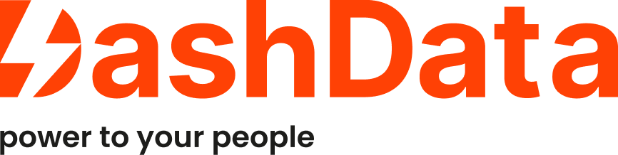 DashData